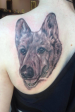 Black and Grey Dog Portrait